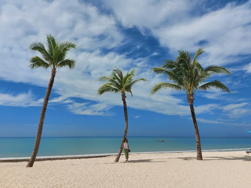 tropical beach sunset tropical beach sunset